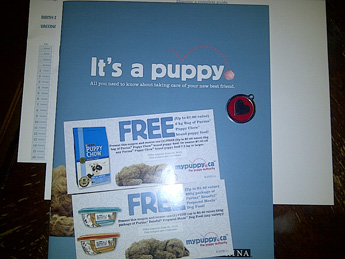 1122-mail-day-my-puppy