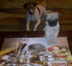 paderno-pot-set