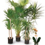 0622-home-depot
