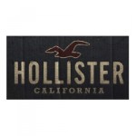 hollister-logo
