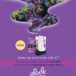 300100348 Glade FSI Expressions LnJB -EN