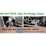 0804-hot-pets