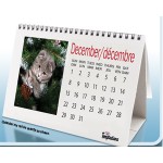 1029-pet-calendar