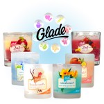 0312-glade-ss