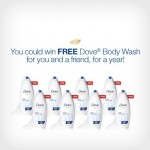 0313-dove