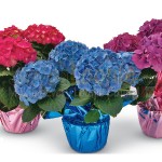 0322-home-depot