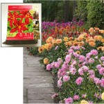 0329-home-depot