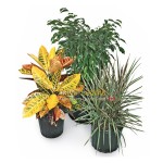 0405-home-depot
