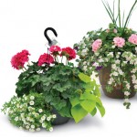 0516-home-depot
