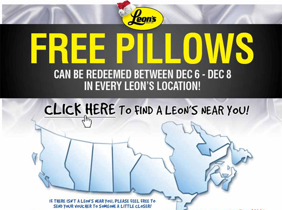 1205-leonspillows
