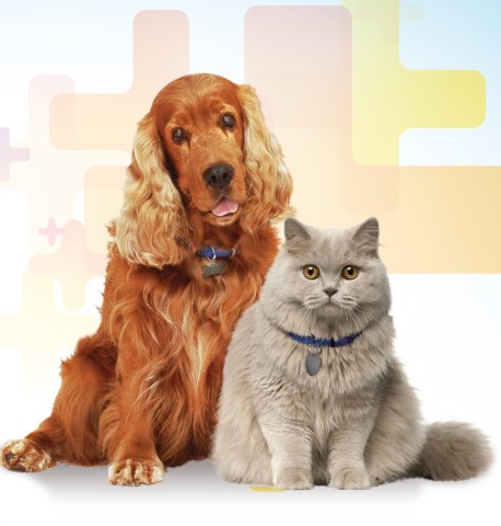 Hill’s Smile Sweepstakes