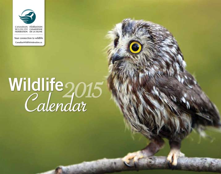 canadian-wildlife-federation-calendar-deals-from-savealoonie