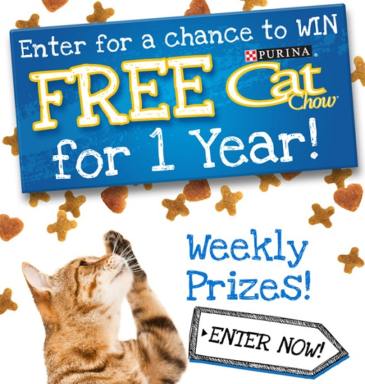 Feed The Cattitude Contest