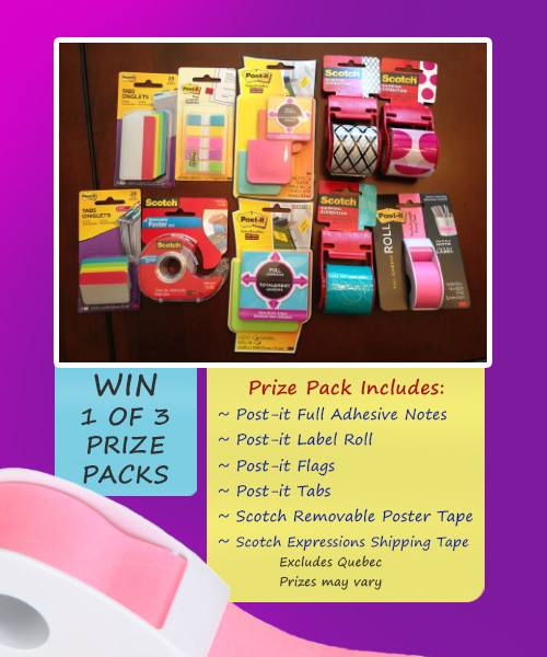 SaveaLoonie’s 3M Giveaway Winners