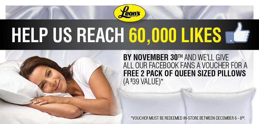 FREE Pillows From Leons Canada