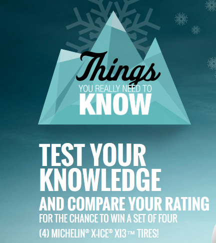 Michelin Things You Really Need to Know Contest