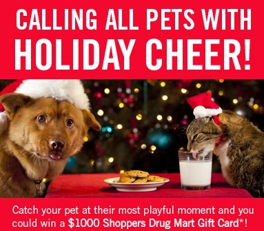 Amigo Holiday Pet Photo Contest