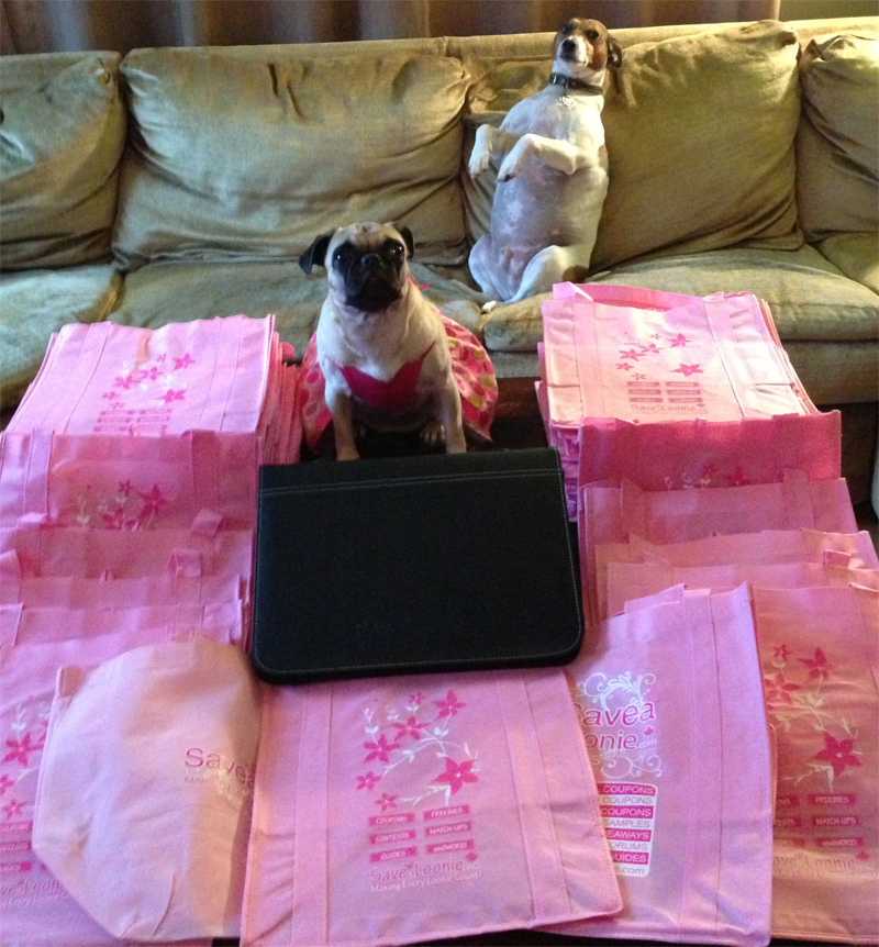 SaveaLoonie’s 50,000 Fan Giveaway is LIVE