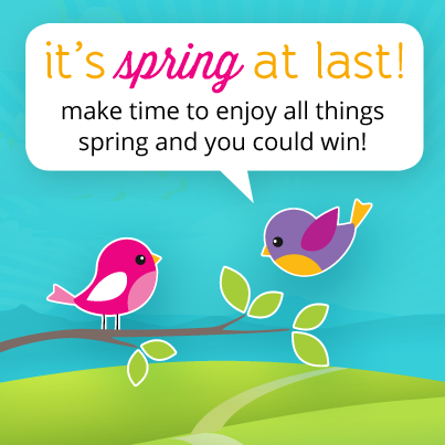 SDM – Time for a Spring Contest