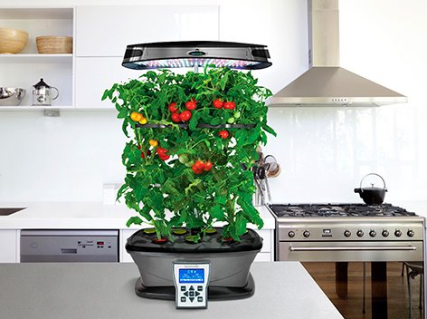 Natrel Bring the Outdoor, Indoor Contest