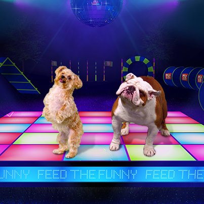 Misfits Dog GIF Party Contest