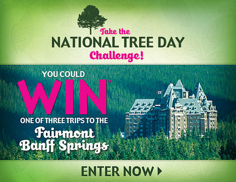National Tree Day Challenge Contest