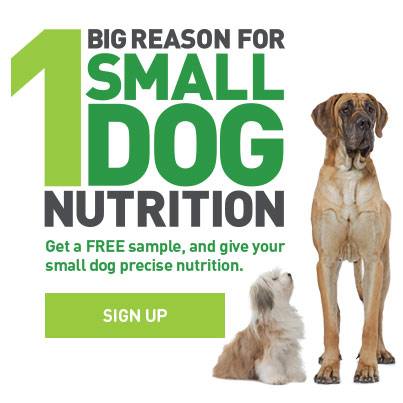 Royal Canin Small Dog Sampler