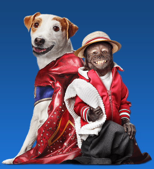 Cineplex – Free Russell Madness Tickets