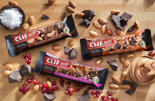 FREE CLIF Organic Trail Mix Bar