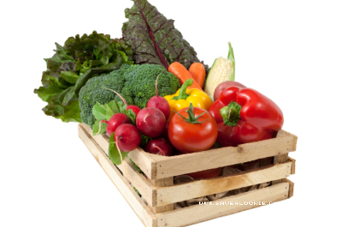 SocialNature – Pomme Natural Market