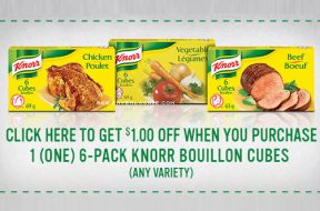 Knorr Bouillon Cubes Coupon — Deals from SaveaLoonie!