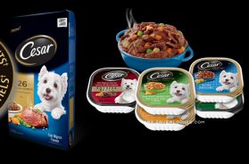 Free* Cesar Dog Food Coupon — Deals from SaveaLoonie!