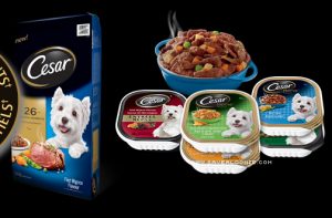 Free* Cesar Dog Food Coupon — Deals from SaveaLoonie!