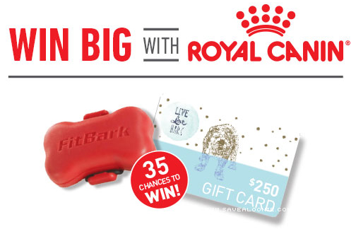 Pet Valu FitBark Giveaway