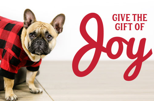 Pet Valu Christmas Wishlist Contest