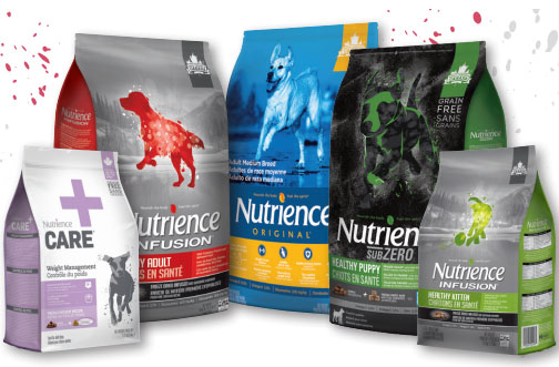 nutrience dog food cat food coupon