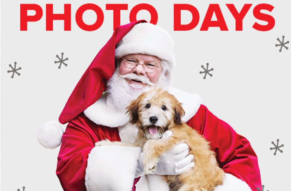 FREE Photos With Santa at PetSmart — Deals from SaveaLoonie!
