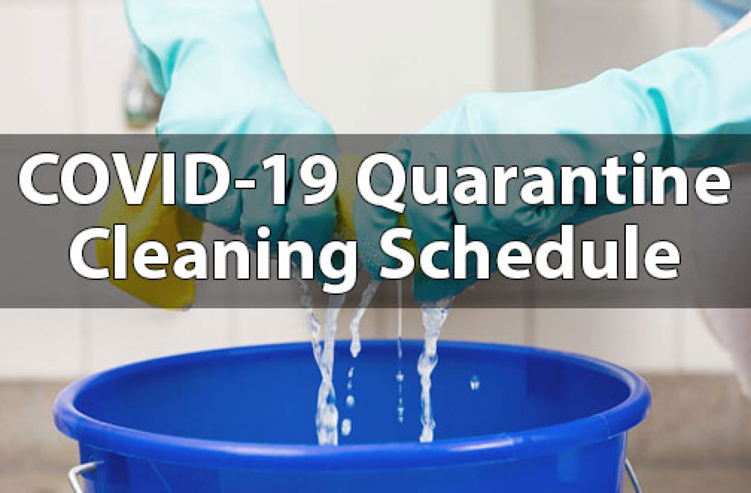 COVID19 Quarantine Cleaning Schedule — Deals from SaveaLoonie!