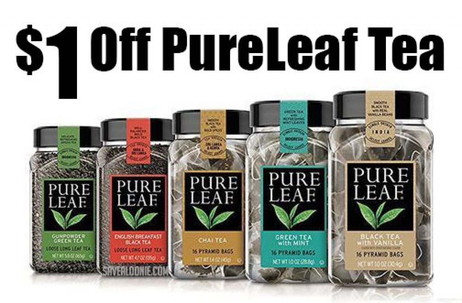 Pure Leaf Coupon Save on Hot Bagged or Loose Tea