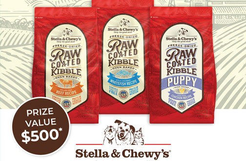 stella & chewy's contest
