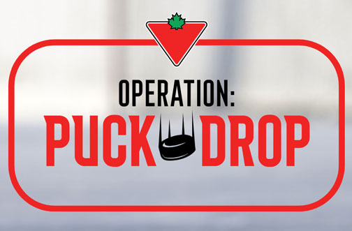 canadian tire rink in a box