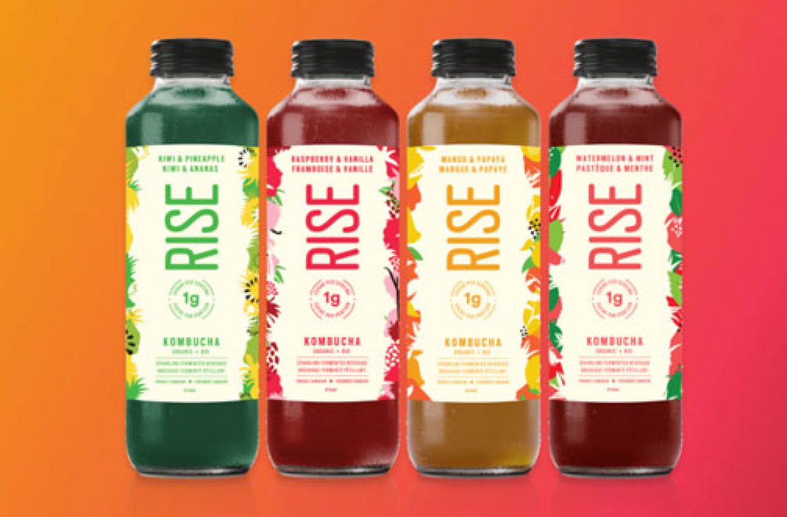 Rise Kombucha Coupon — Deals from SaveaLoonie!
