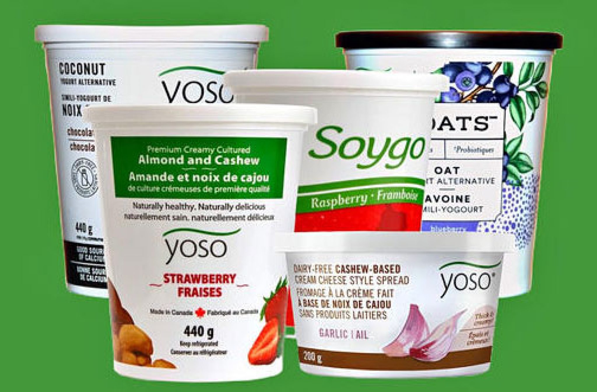 BOGO Free Yoats Dairy Free Yogurt Coupon — Deals from SaveaLoonie!