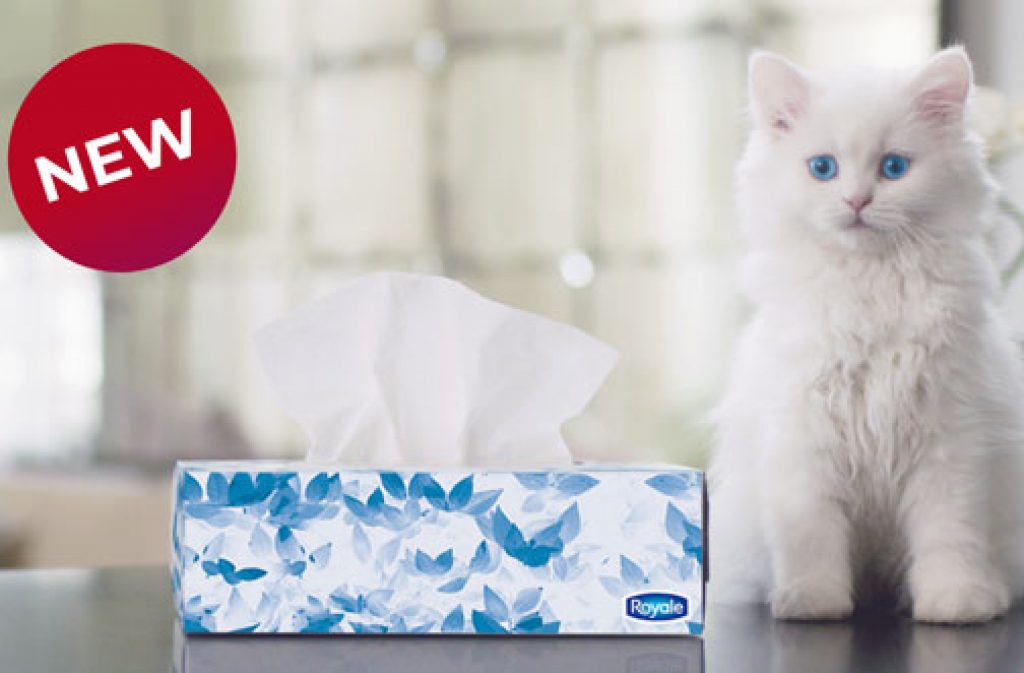 New Royale Facial Tissue Coupon