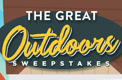 The great leapfrog contest and essay examples 06 picture