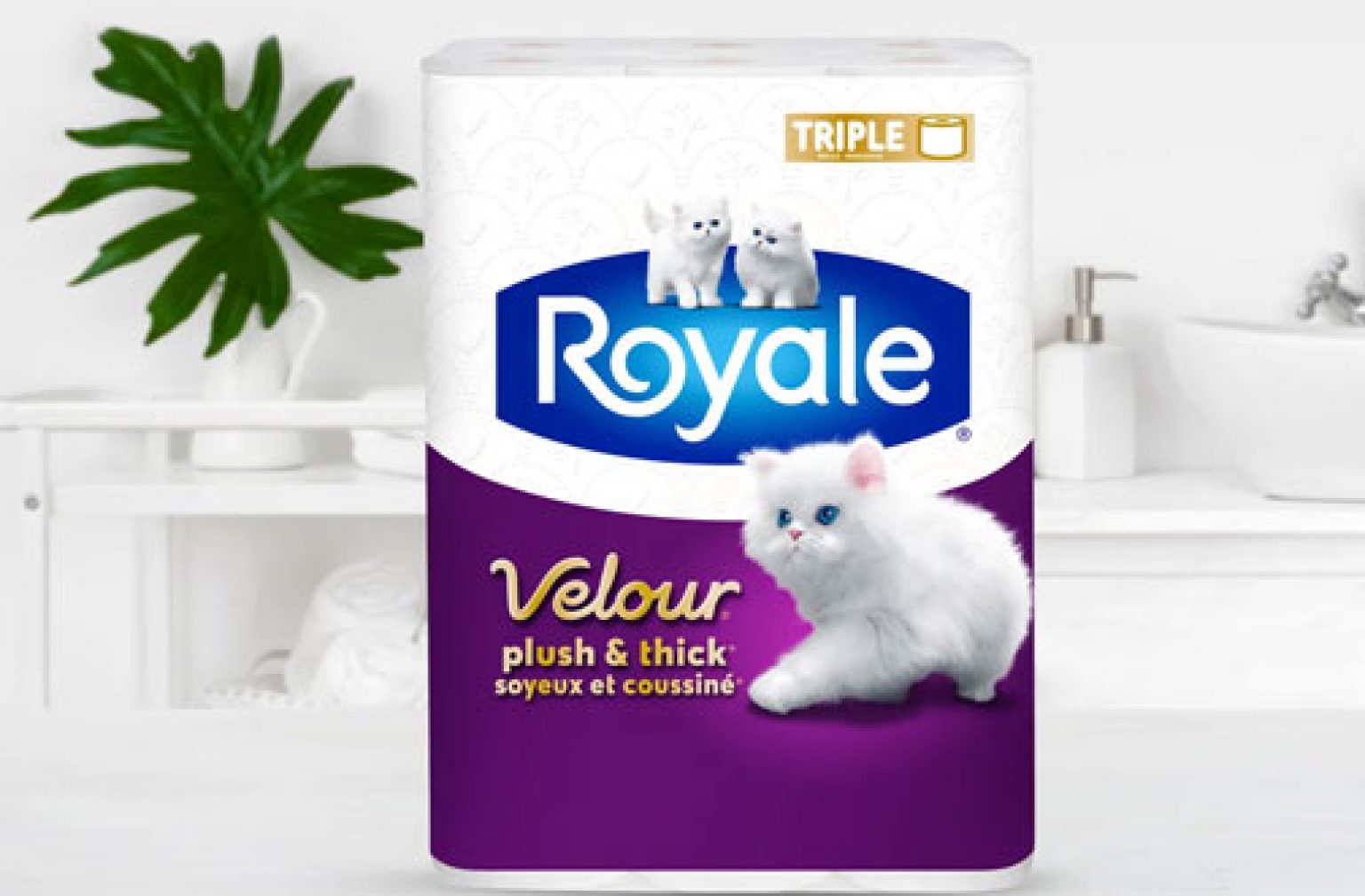 Royale Velour Toilet Paper Coupon 2 Off Velour Paper Pack Coupon
