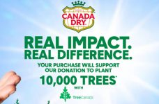 Canada Dry Coupon Bundle