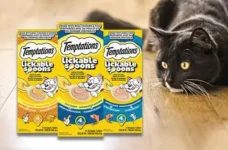 Temptations Cat Treats Coupons | Free Lickable Spoons