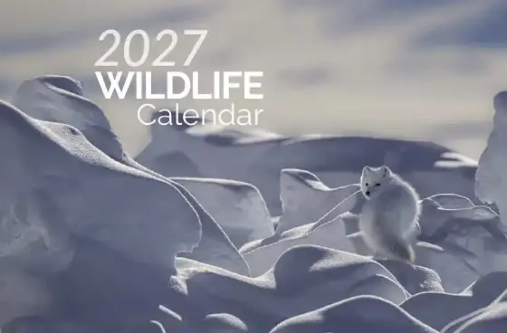 free wildlife calendar