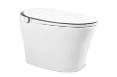 DeerValley Premium Tankless Elongated Smart Bidet Toilet